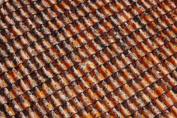 The Ultimate Guide to All-in Commercial Roofing Services